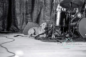 Kettle River Music Festival 2022 — be038f_f78597de770f4f6392704fd678b1e9a2~mv2