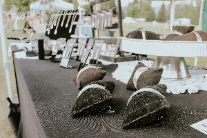 Kettle River Music Festival 2025 — IMG_0053