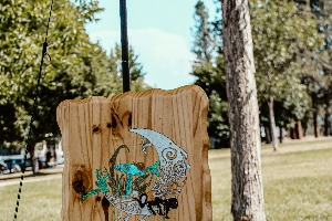 Kettle River Music Festival 2025 — IMG_9236